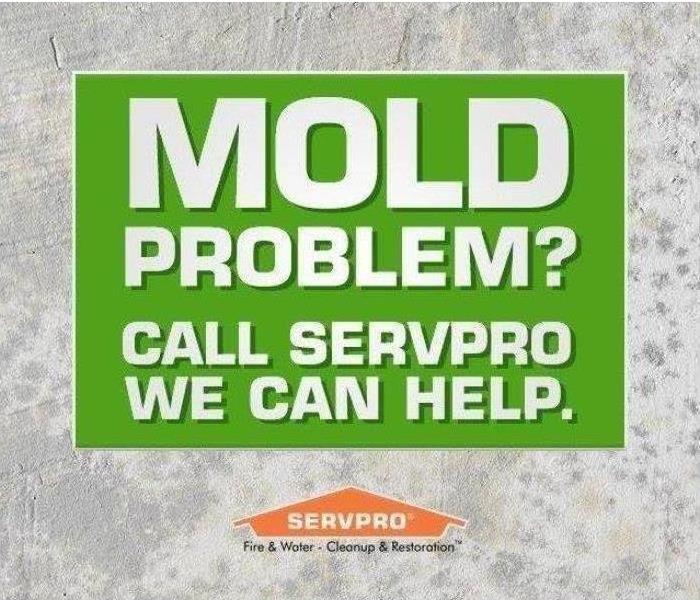 Call Servpro for Mold Issues