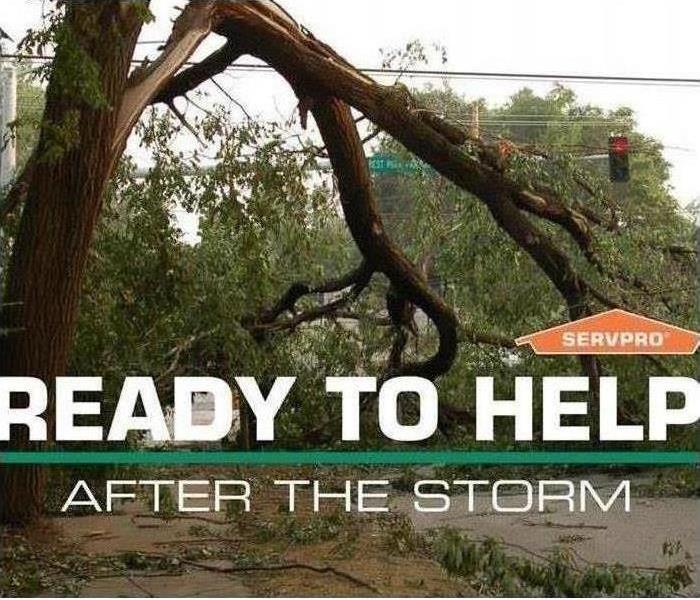 Storm Damage Commercial Services - Property Protection in Loudon County