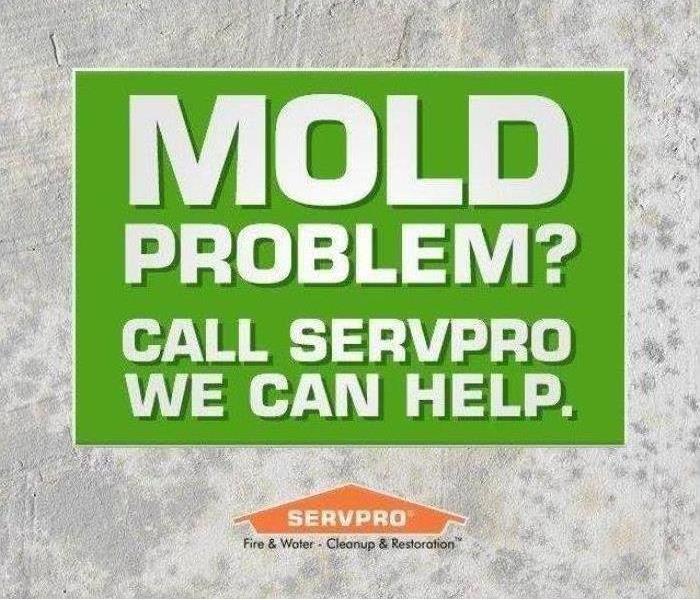 Contact for Mold related problems